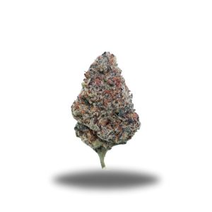 buy Purple Urkle - Hybrid