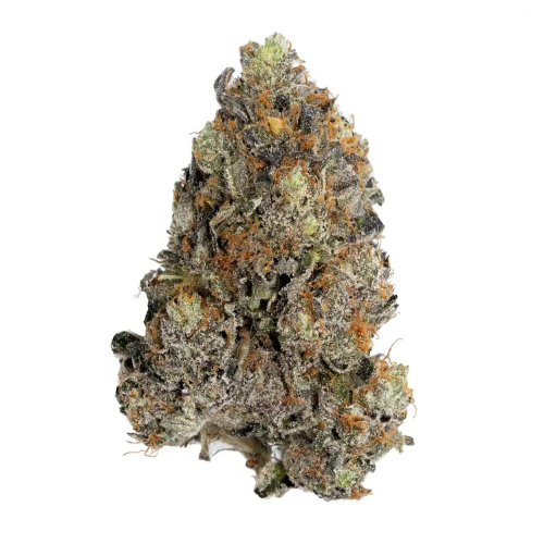 buy Pink Diablo - Indica