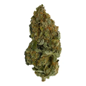 buy Blue Widow - Hybrid/Sativa