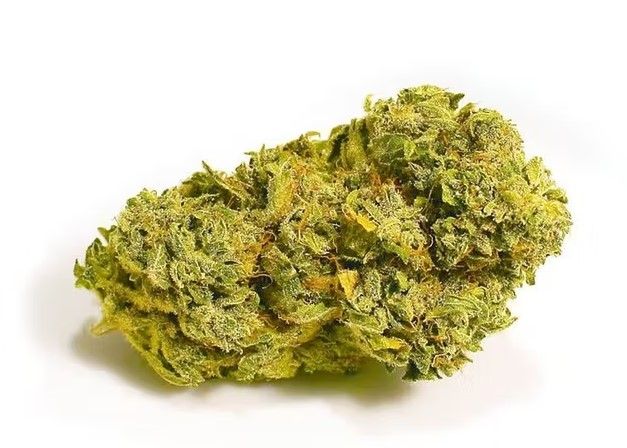 super lemon haze weed 4 Super Lemon Haze Cannabis Strain Review