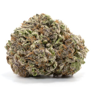 buy Mendocino Purps