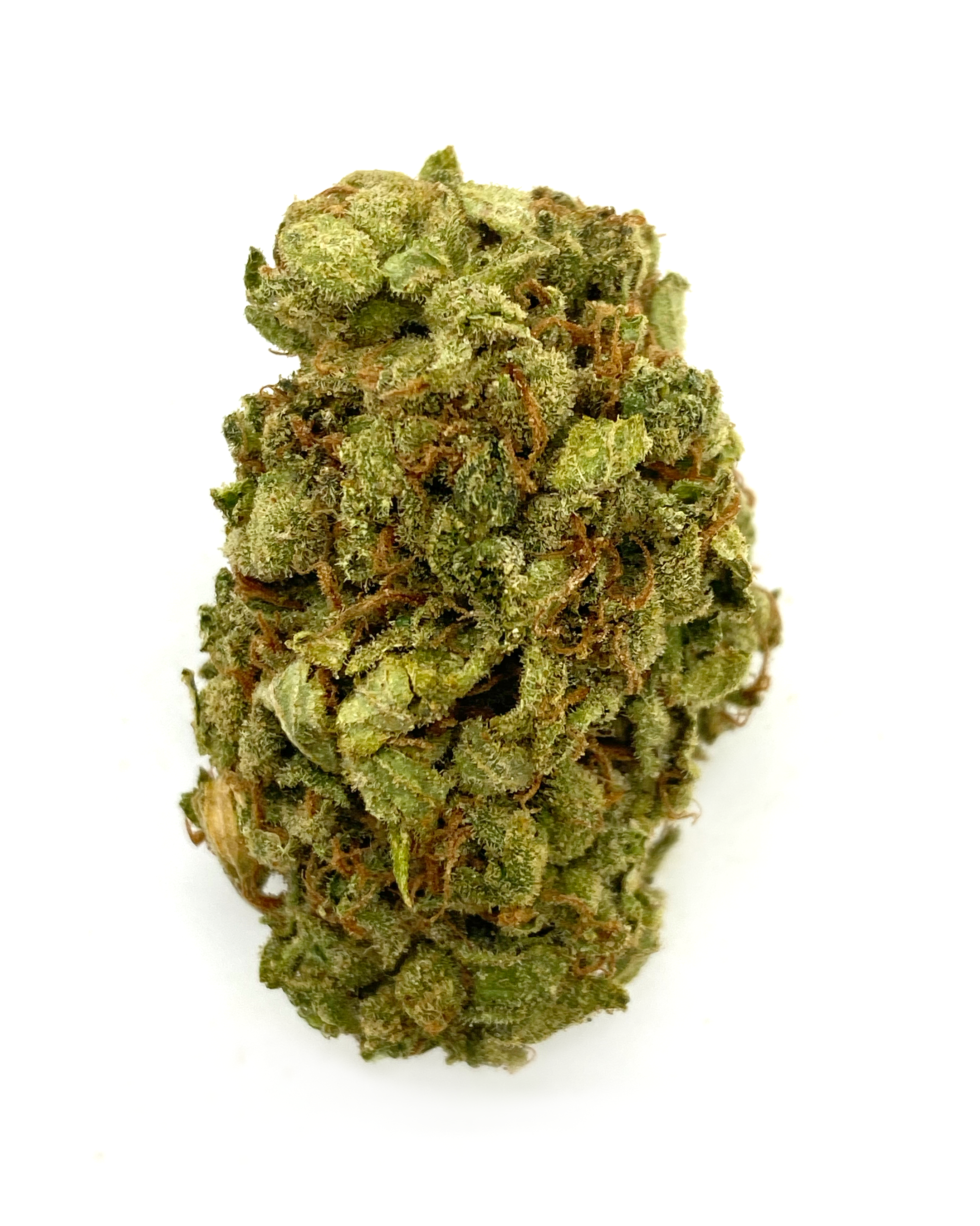 buy MANGO OG – SATIVA