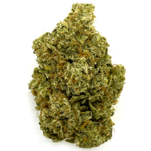 buy CAPTAIN CHRONIC – SATIVA