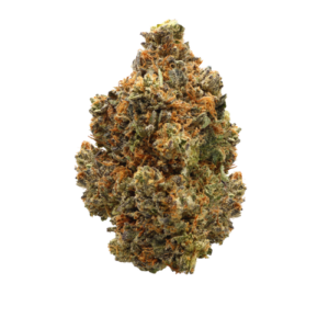 buy Sunshine Coast Pink - Indica