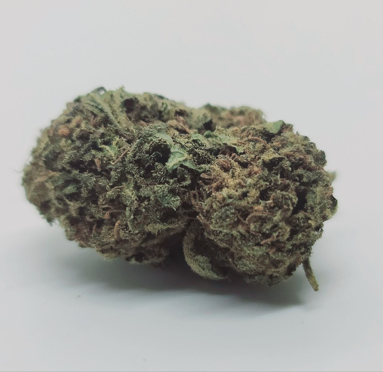 buy 1oz Gelato Dream *Hybrid* - Limited Offer