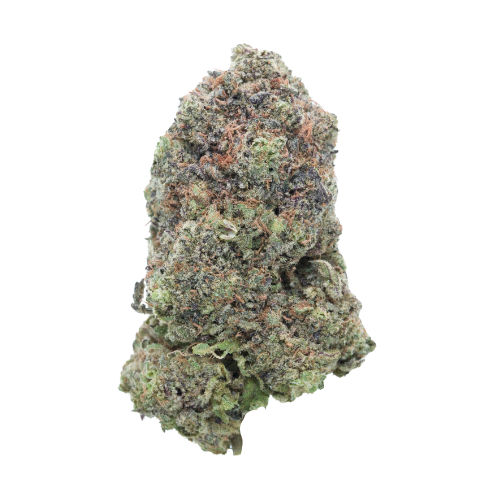 buy Purple Rockstar - Hybrid