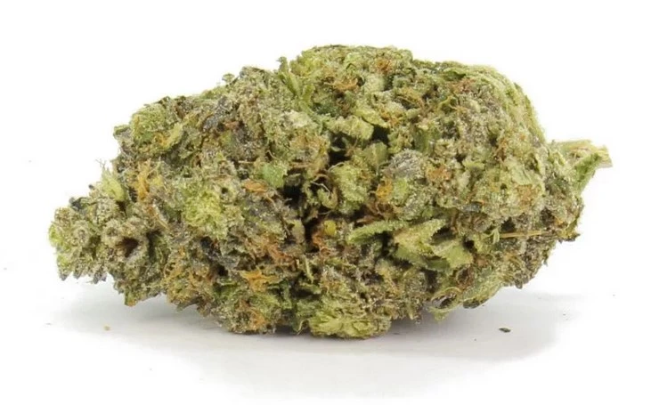 buy Strawberry Cough-BULK