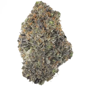 buy Astro Pink - Indica BULK