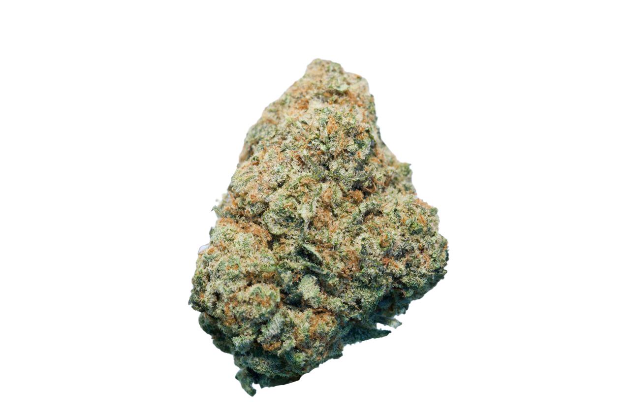 buy Jack Herer *Sativa*