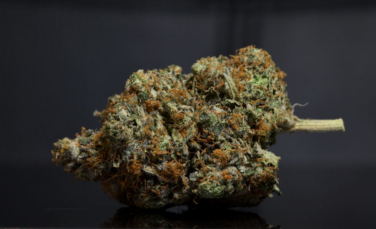 buy White Death LSO-Indica