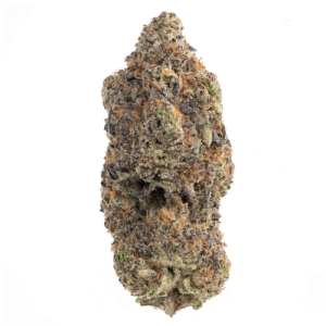 buy Slayer OG - Indica