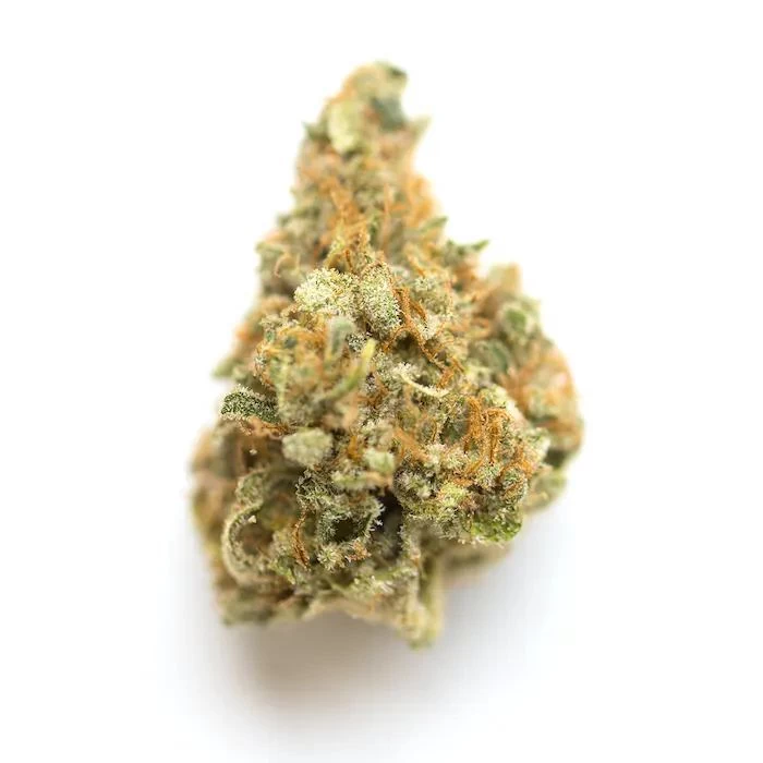 buy Mango Kush *Sativa*