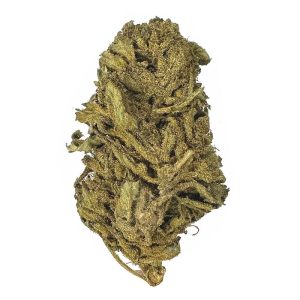 buy Gorilla Glue #4 – AA+ – $70/OZ