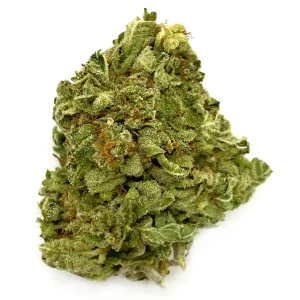 buy CRITICAL KUSH – INDICA