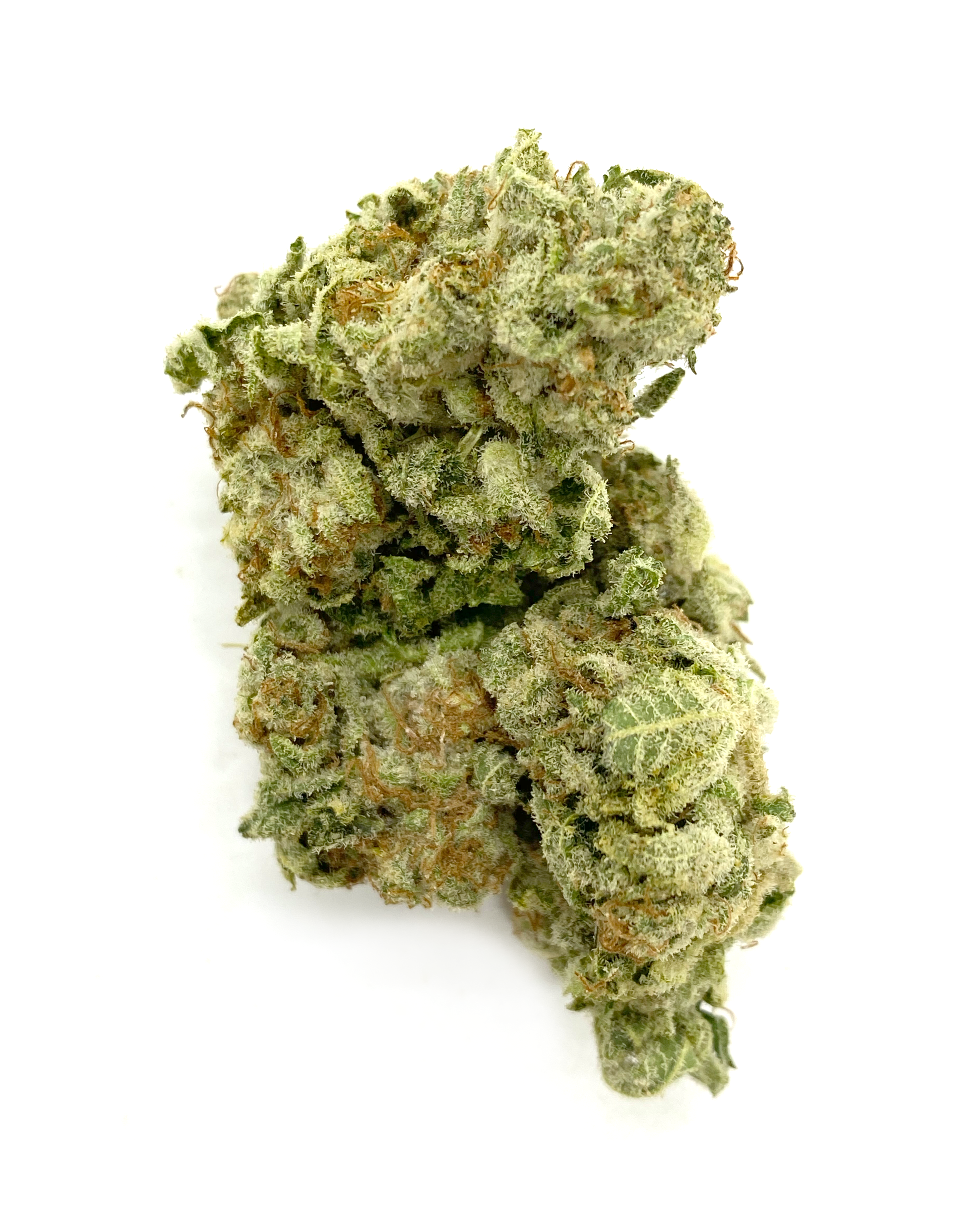 buy LEMON TART – SATIVA