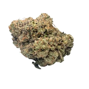 buy Twisted Citrus *Sativa*