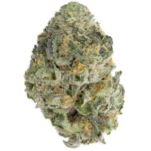 buy Sherbacio by Alien Labs