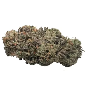 buy Amnesia Haze *Sativa*