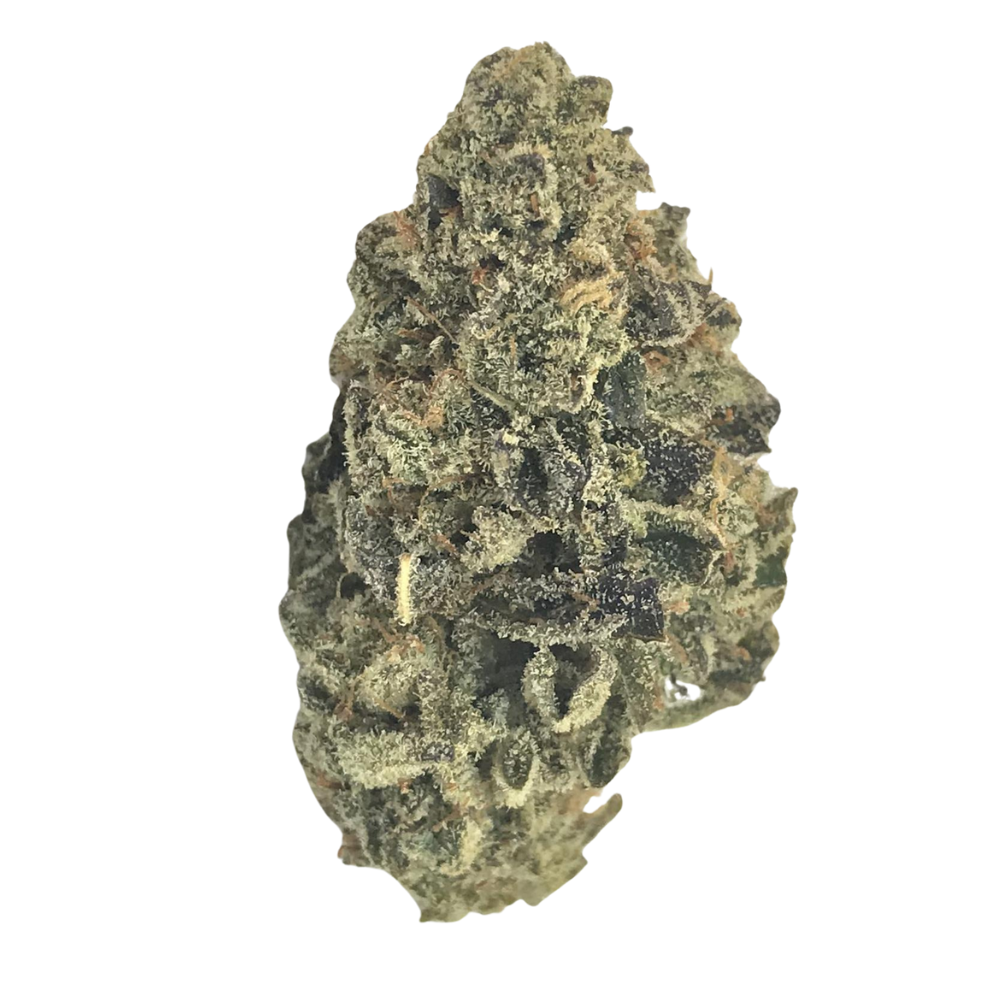 buy Key Lime Pie - Sativa