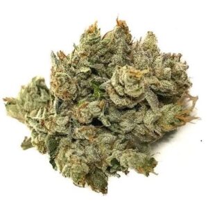 buy Cherry Kush-BULK