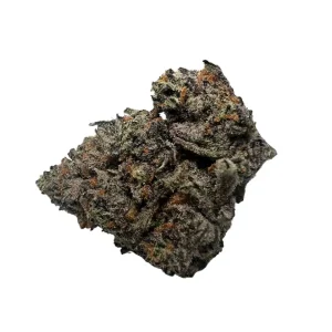 buy Purple Haze *Hybrid*