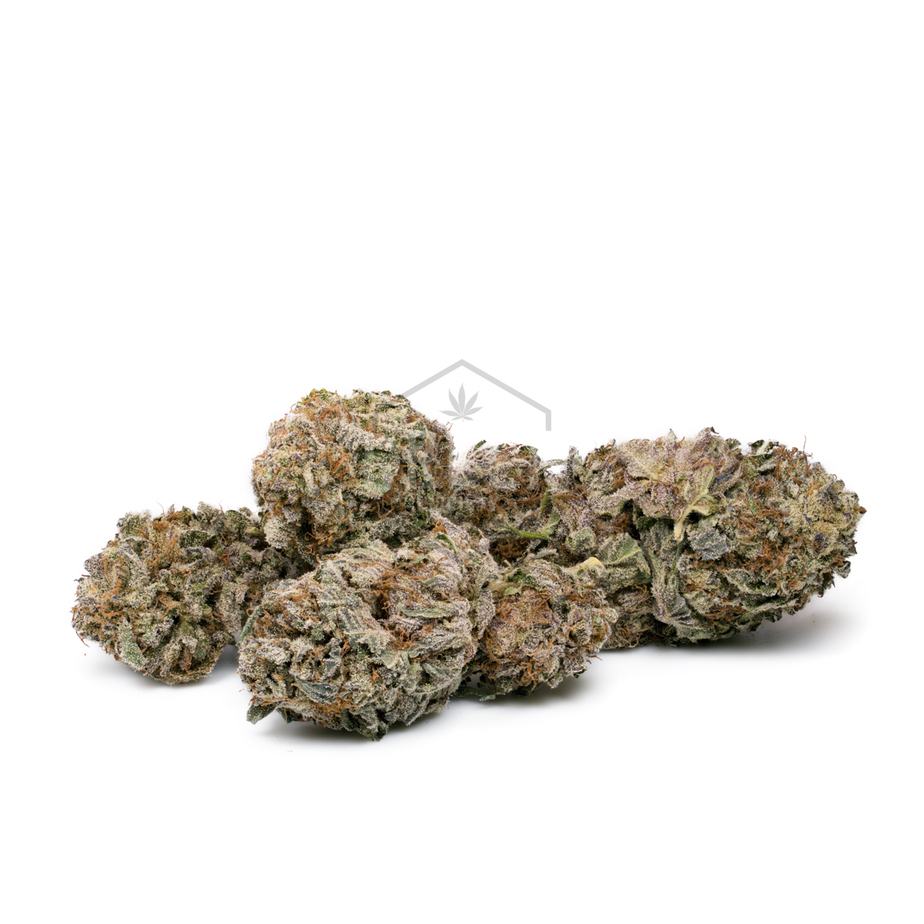 buy Black Amnesia Haze