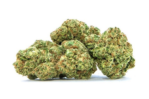 buy Black Jack Kush-BULK