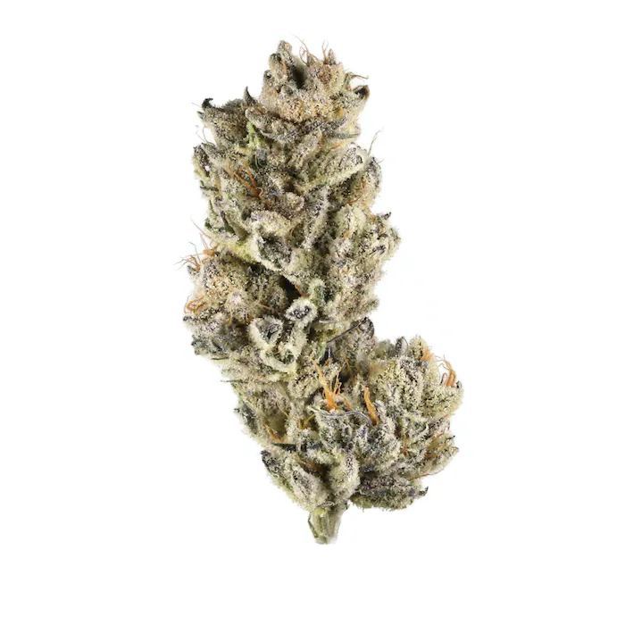 buy Purple Punch – BULK