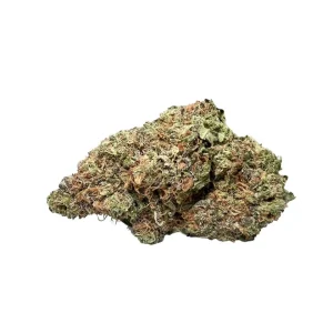 buy White Diesel *Sativa*