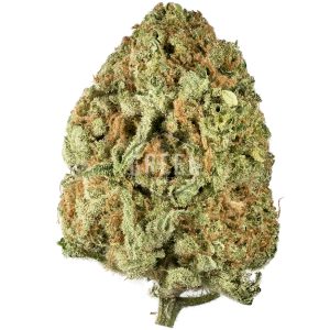 buy Walter White by Mephisto Genetics