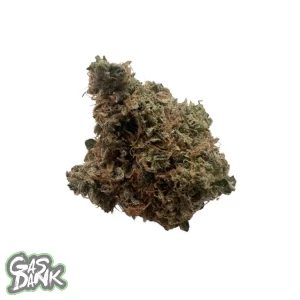 buy Black Dutch – Bulk