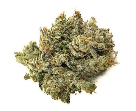 buy Cherry Kush-BULK