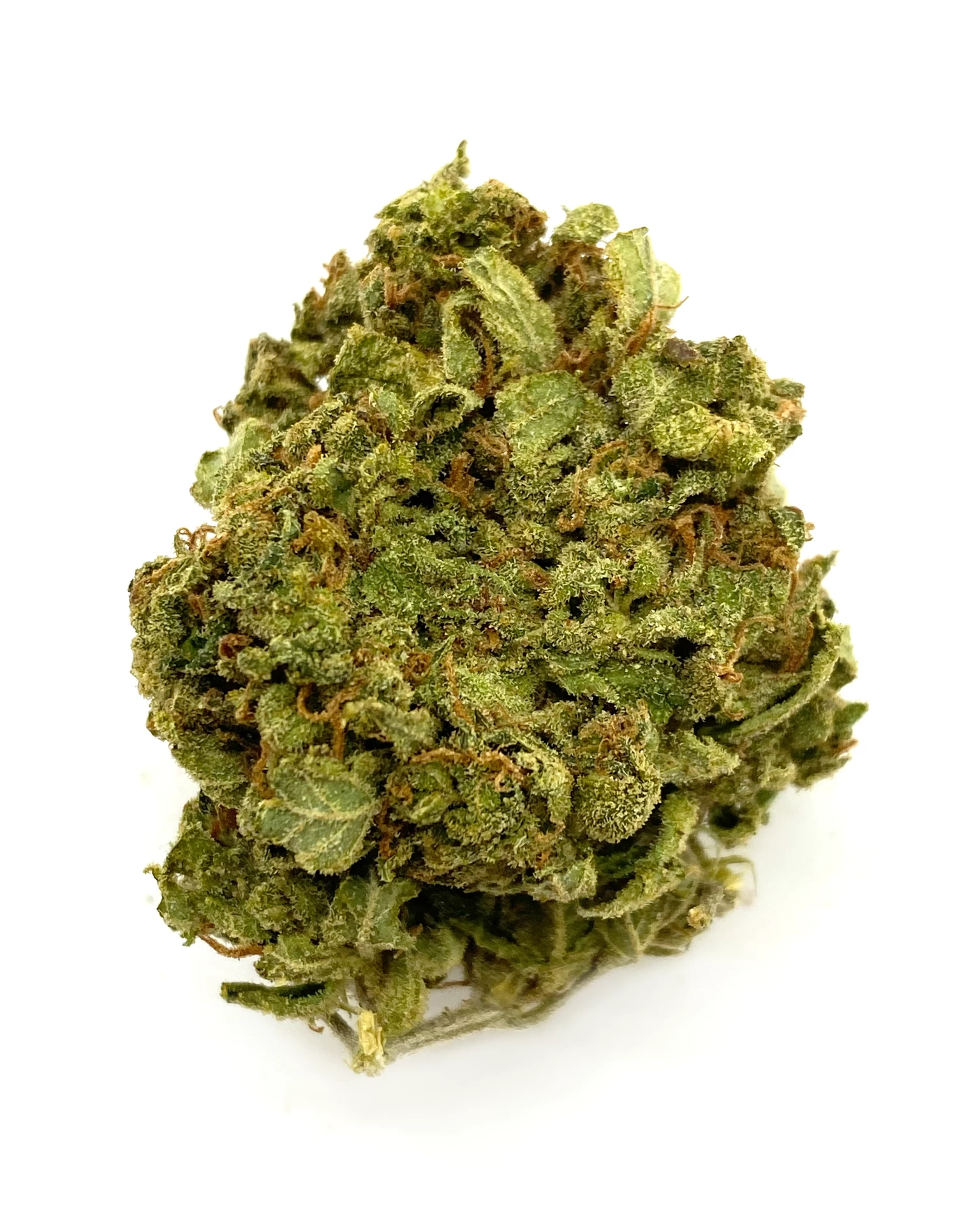 buy MANGO SAPPHIRE – INDICA