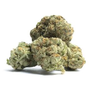 buy Mango Dream *Sativa*