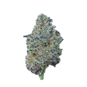 buy Purple Haze - Hybrid