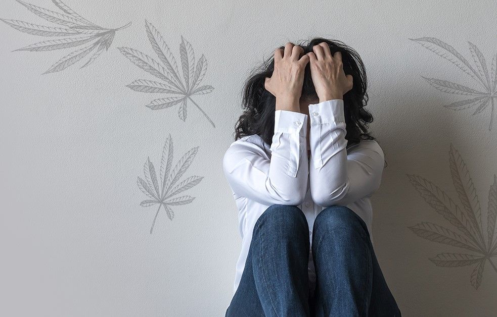 cannabis and anxiety 11 Cannabis And Anxiety