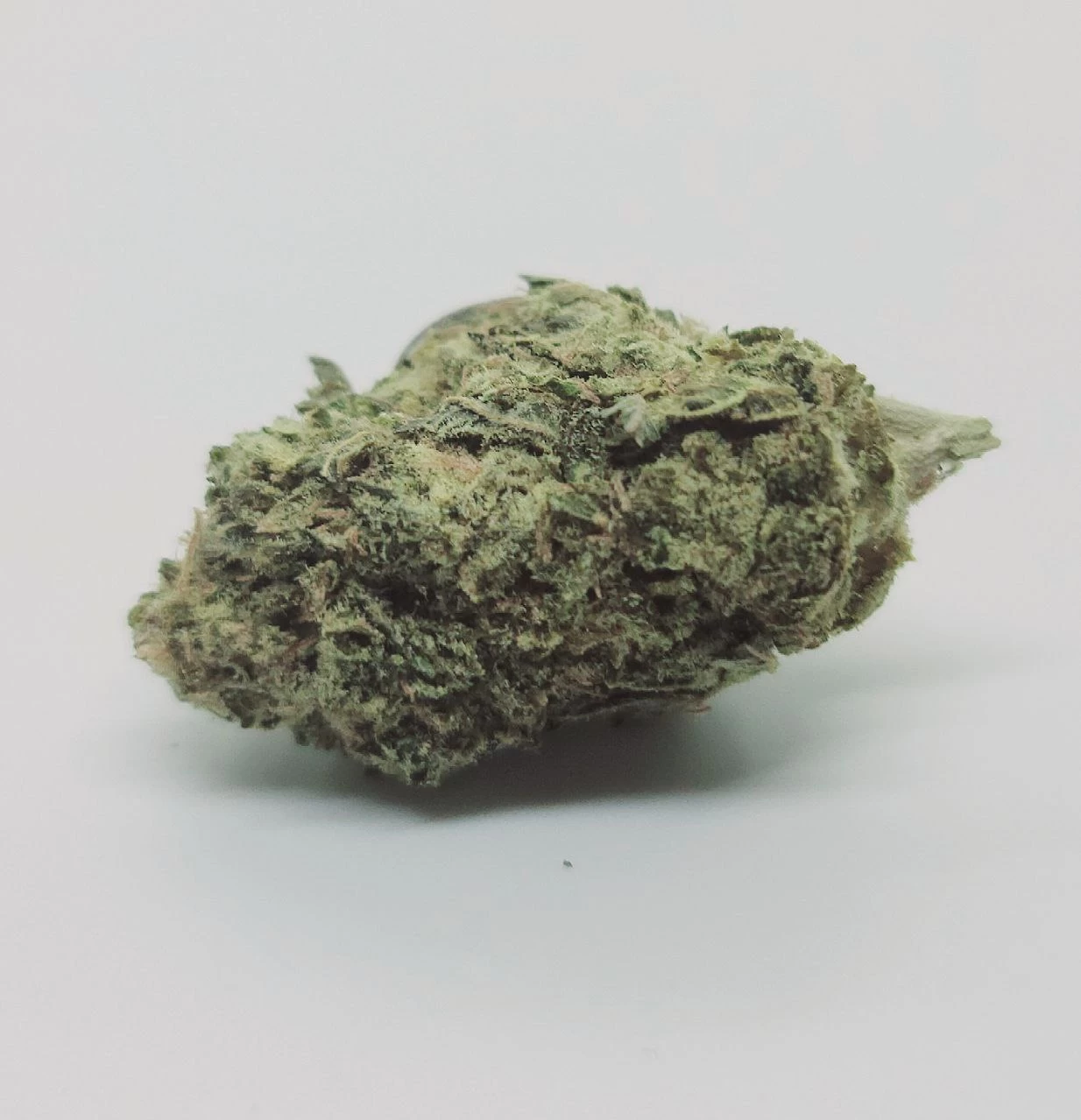 buy 1oz Gorilla Punch *Hybrid* – Limited Offer