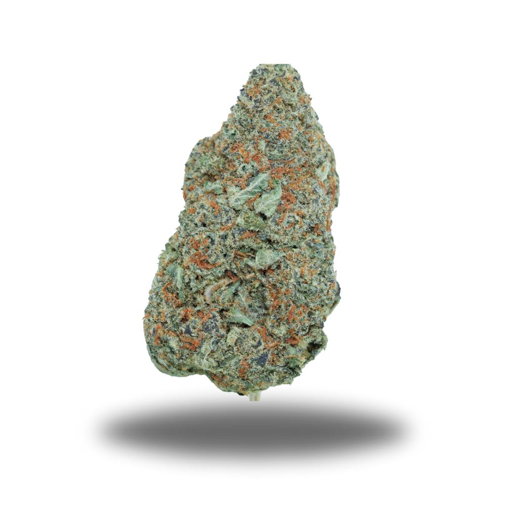 buy Chocolate Orange Dream - Sativa