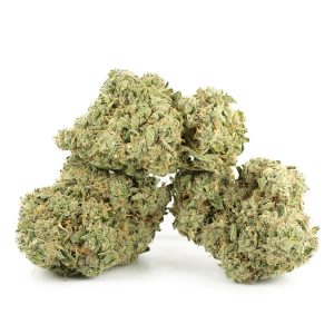 buy Ghost Train Haze