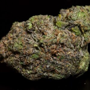 buy Death Shark LSO-Indica