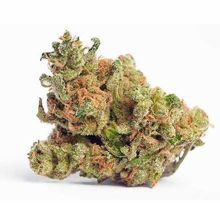 Outlaw Haze Marijuana 2 Outlaw Haze Cannabis Strain Review