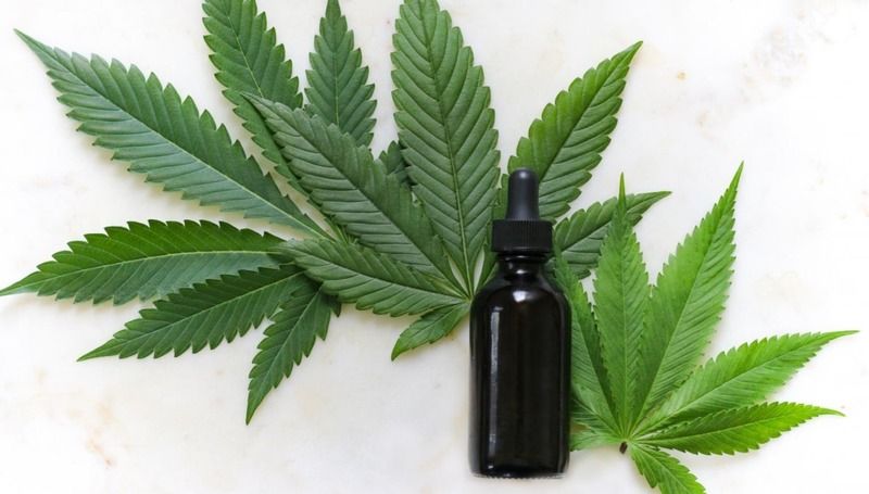 Cannabis for Skin Care 3 Cannabis for Skin Care