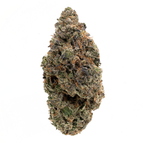 buy Pink Rockstar - Indica