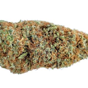 buy Gelato Dream -Bulk