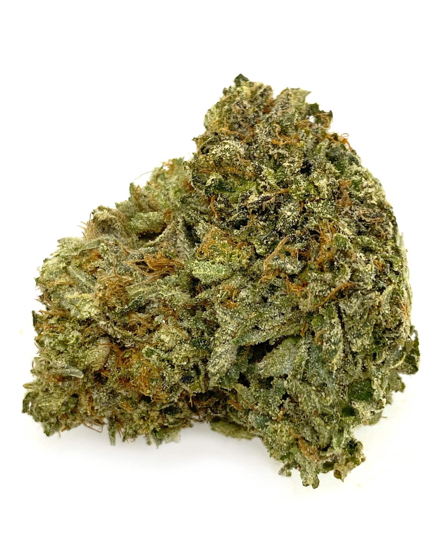 buy Black Jack Kush *Hybrid*