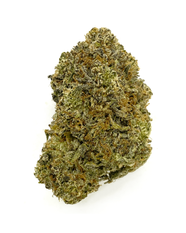 Blueberry Diesel *Hybrid* - Image 2