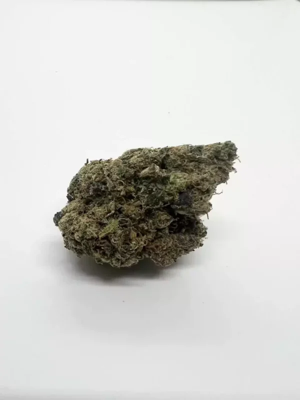 El Blanco *Hybrid* FIRE SALE