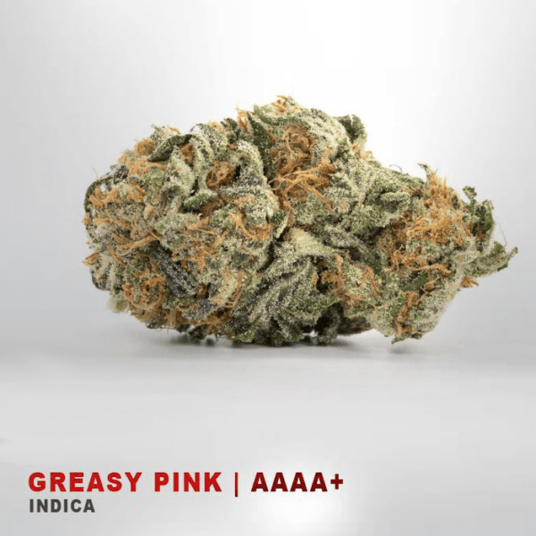 Greasy Pink - AAAA+