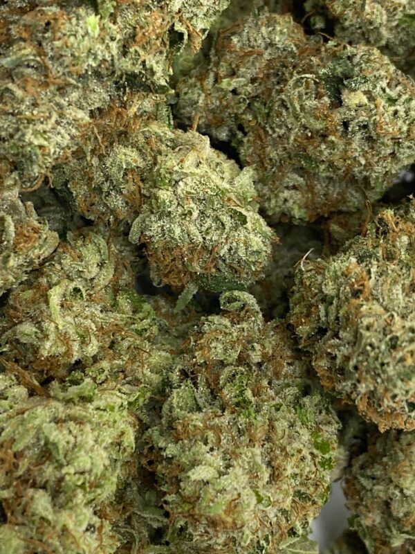 Greasy Pink *Indica* - Image 2