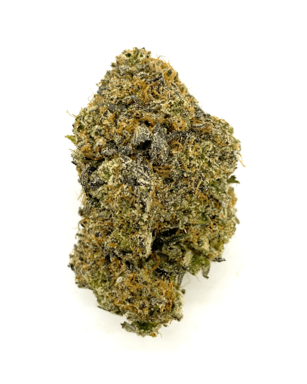 Jelly Sherbert *Hybrid* - Image 3